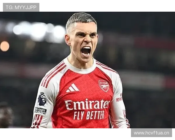 特罗萨德职业生涯效率与战术价值分析 特罗萨德职业生涯效率与战术价值分析